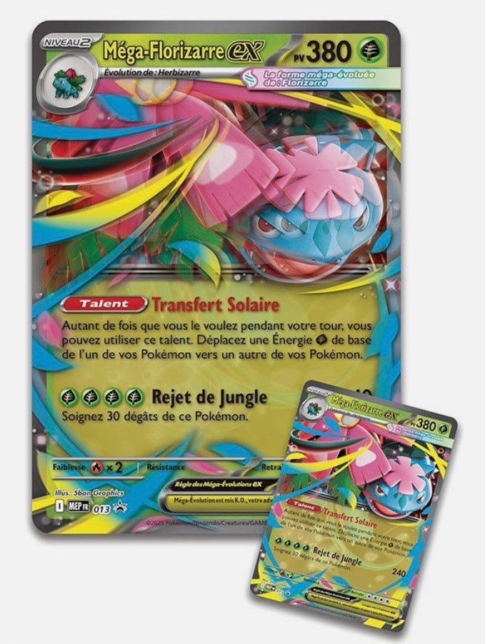 Coffret Mega-Florizarre
