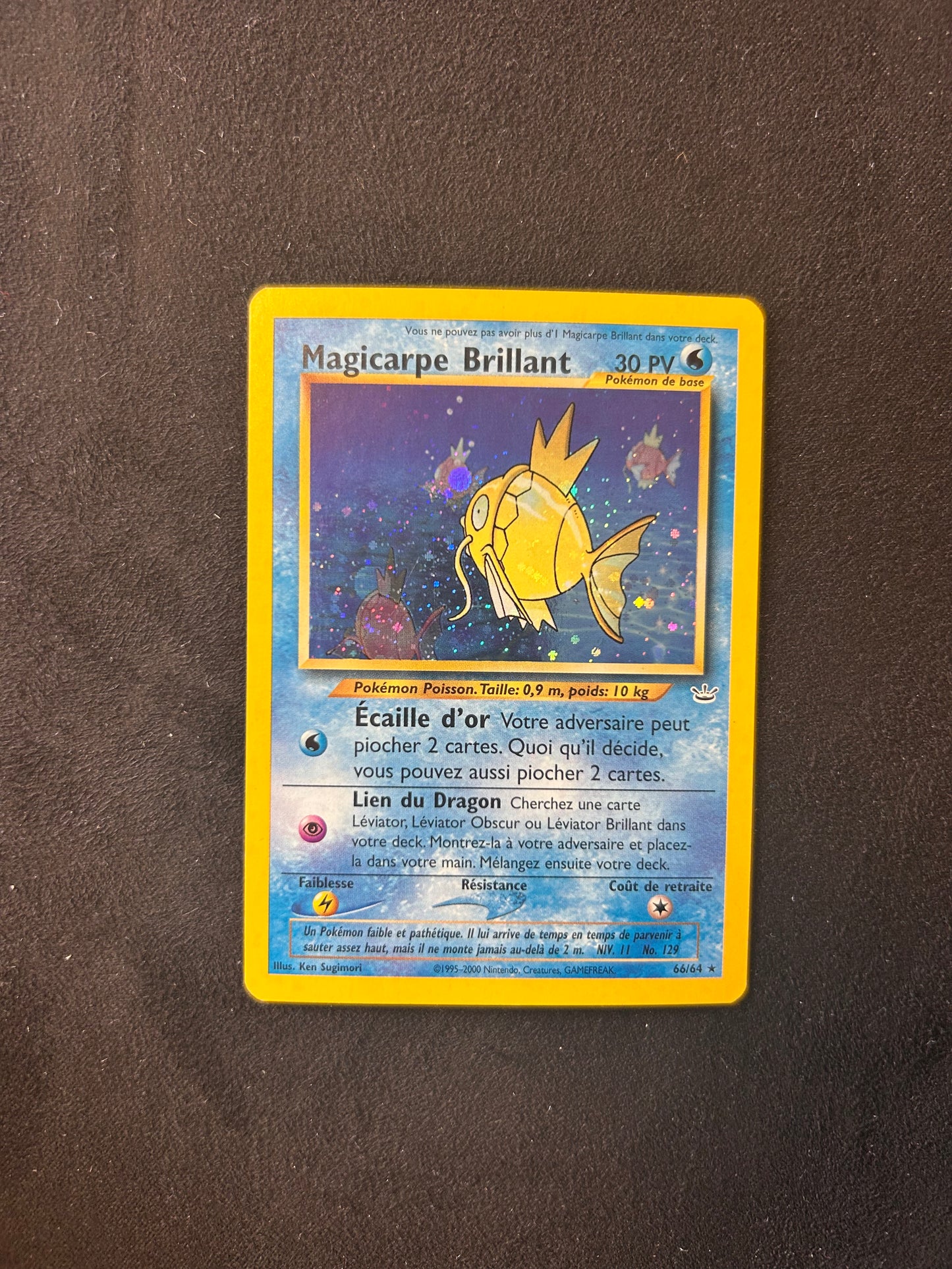 Magicarpe Brillant 66/64