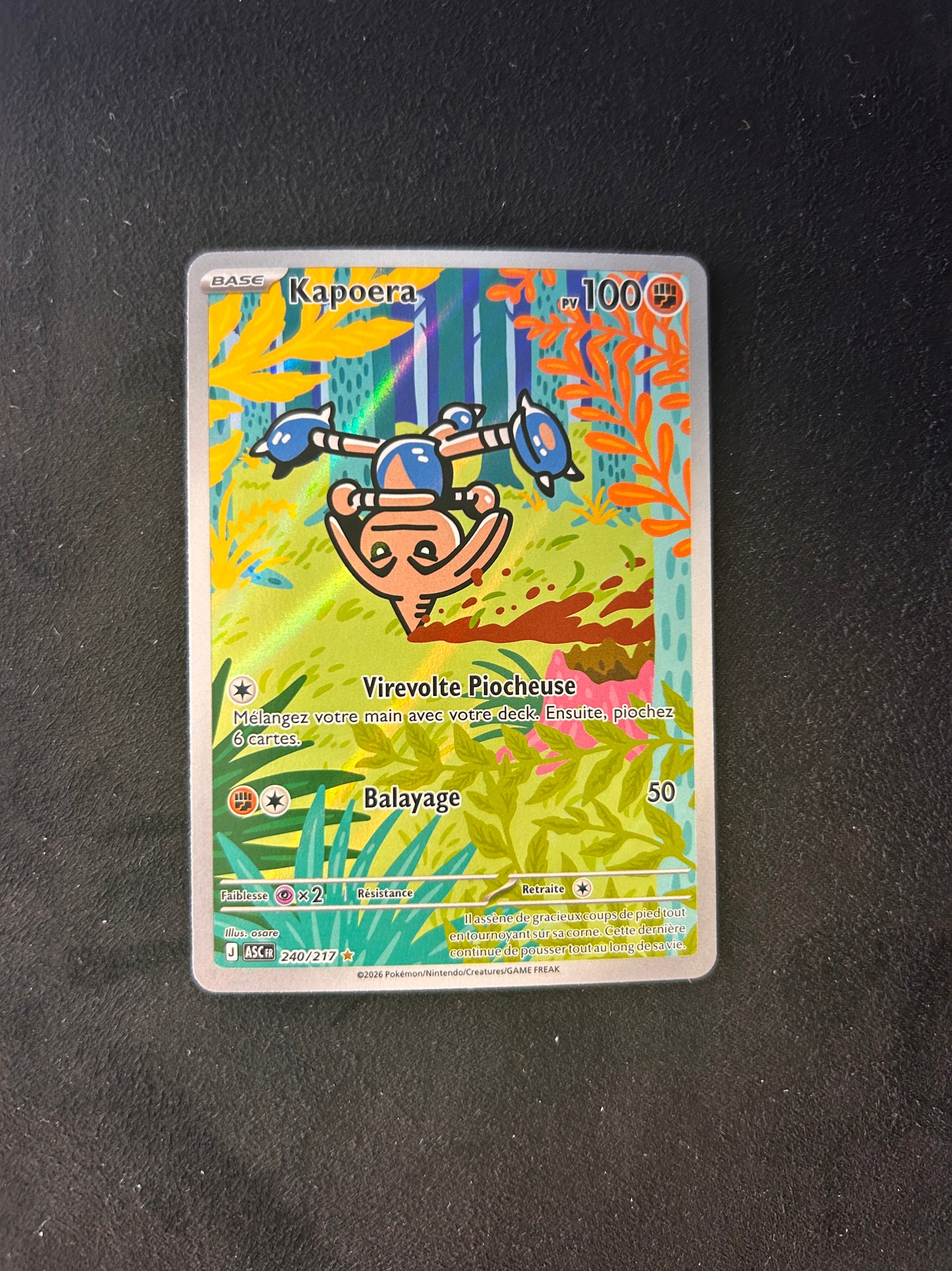 Kapoera 240/217